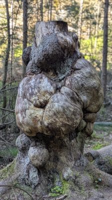 Psychotherapie als Weg zur Heilung